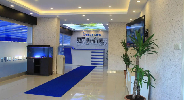 Blue Life Suites