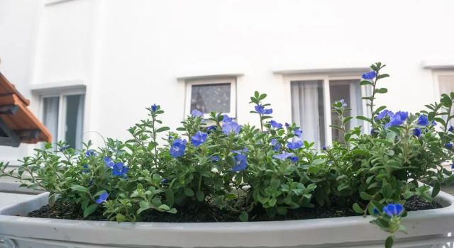 Sunny House, Забронировать Дом для отпуска Отели провинции Хошимина с парковкой, Парковка