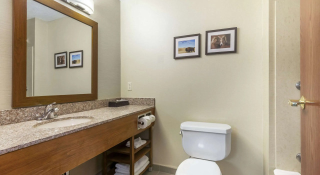 Четырёхместный номер Standard Comfort Inn & Suites Rapid City South - Mt Rushmore Gateway