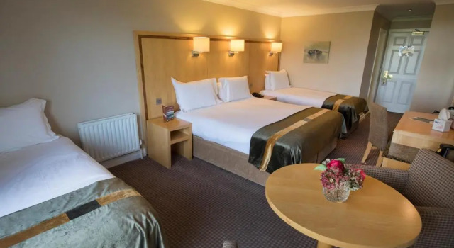 Трёхместный номер Standard Hotel Minella