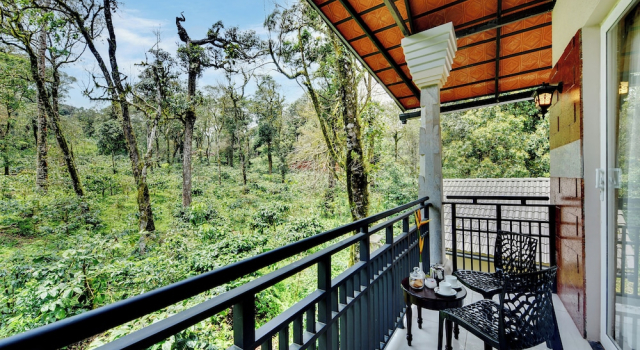 Номер Standard Vishmaa Resort