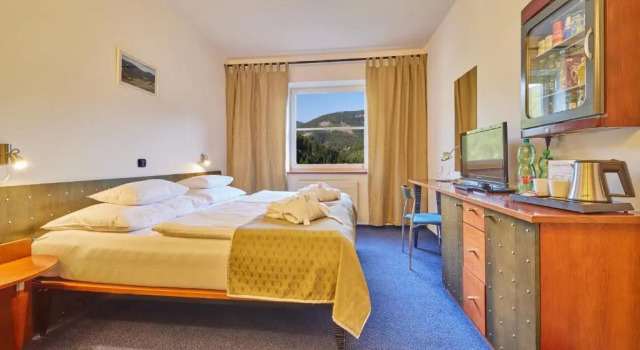 Двухместный номер Superior Hotel Horizont