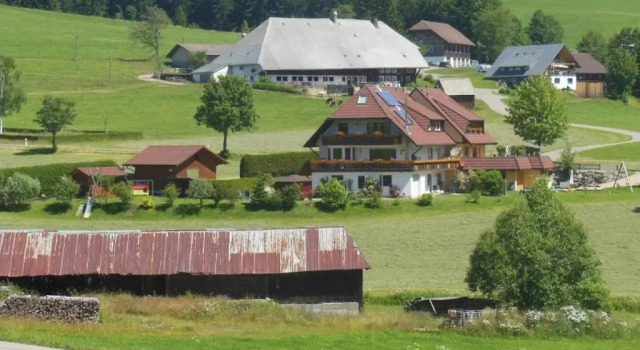 Апартаменты Ferienhaus Kaltenbach