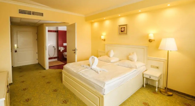 Двухместный номер Standard Calimbra Wellness Hotel Superior