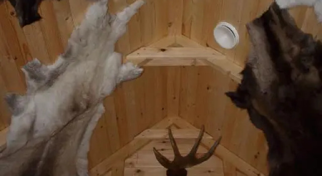 Номер Economy Guesthouse Little Tundra