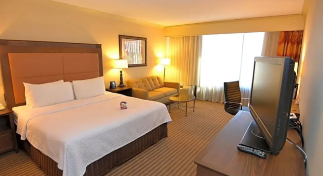 Standard Zimmer Crowne Plaza Hotel Reading