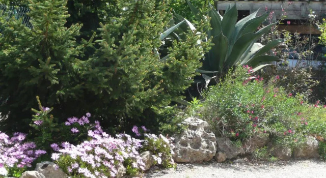 Номер Standard villa "Les Cactees" Petite résidence de tourisme classée 3 étoiles