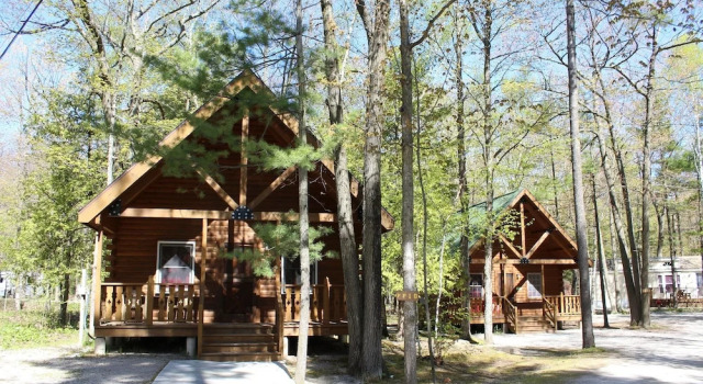 Номер Deluxe c 1 комнатой Tranquil Timbers Camping Resort