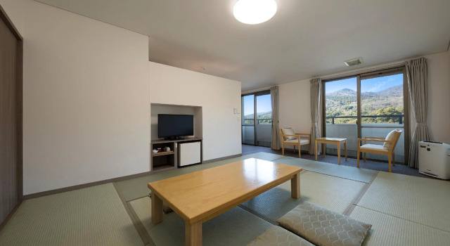 Номер Standard Hotel Seiunso