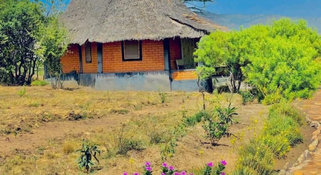 Номер Economy Eco Mara Tented Camp