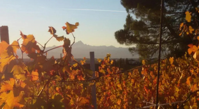 Cascina Torello