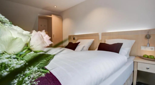 Двухместный номер Standard Rhein Neckar Hotel Mannheim 24h Check-in