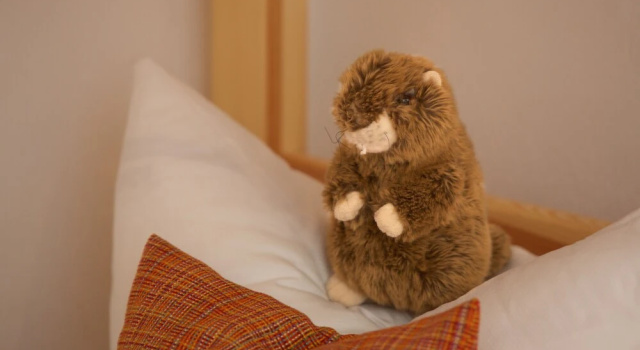 Семейный номер Standard Familienhotel Löwen