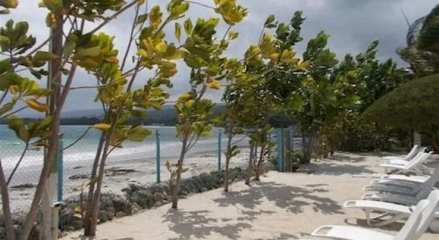 Tropical Escape @ The Palms of Richmond, Rezervasyon Otel Plantation Village Jamaika
