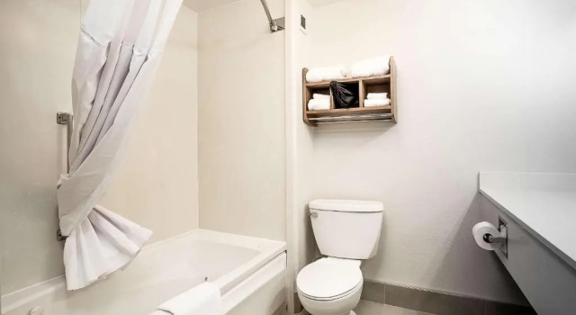 Четырёхместный люкс Executive Hawthorn Suites by Wyndham-Oakland/Alameda