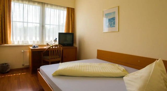Одноместный номер Standard Hotel Seestuben