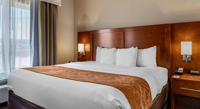 Двухместный люкс Comfort Suites Near Texas A&M - Corpus Christi