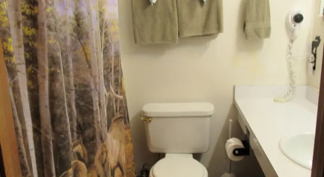 Номер Comfort The Woodsman Country Lodge Motel