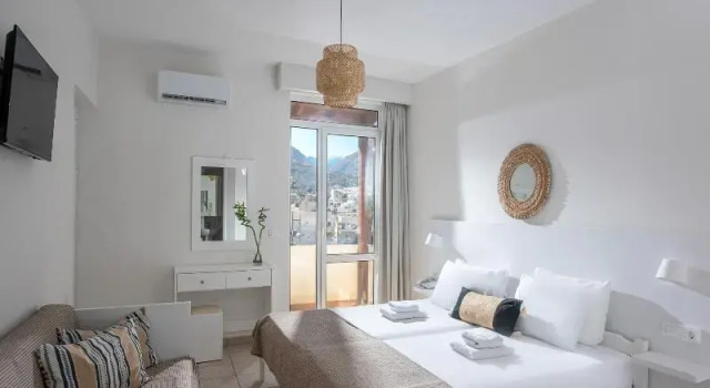 Одноместный номер Standard с видом на сад Alexander House Hotel