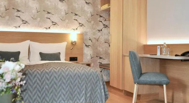 Двухместный номер Standard See- und Seminarhotel FloraAlpina Vitznau