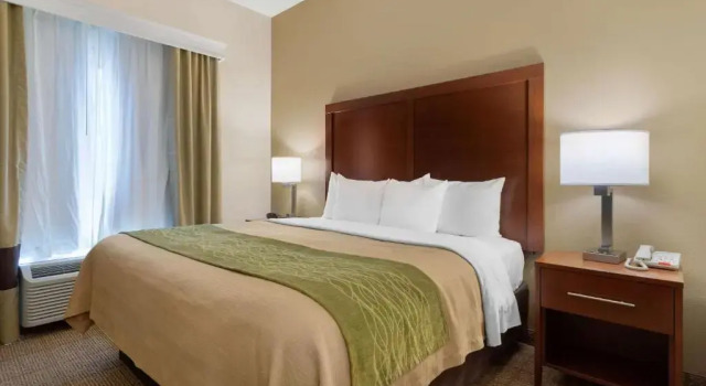 Номер Standard Comfort Inn & Suites Port Arthur-Port Neches
