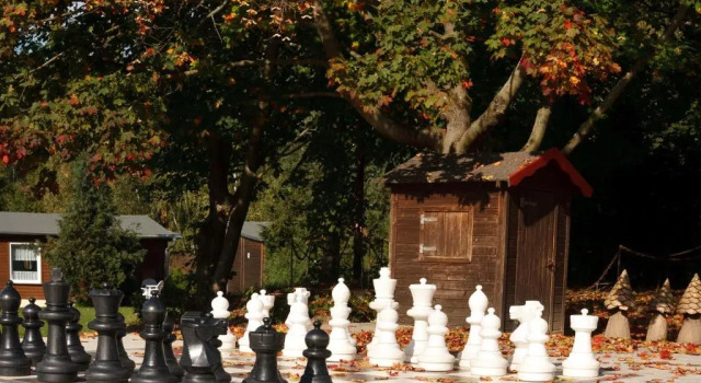 Номер Standard Hotel Waldoase Hirschbüchenkopf