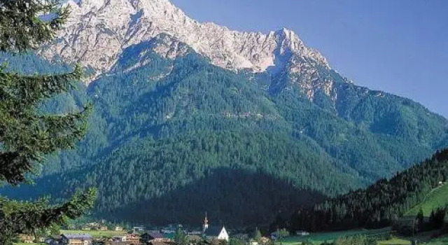 Glockenhof Olivier