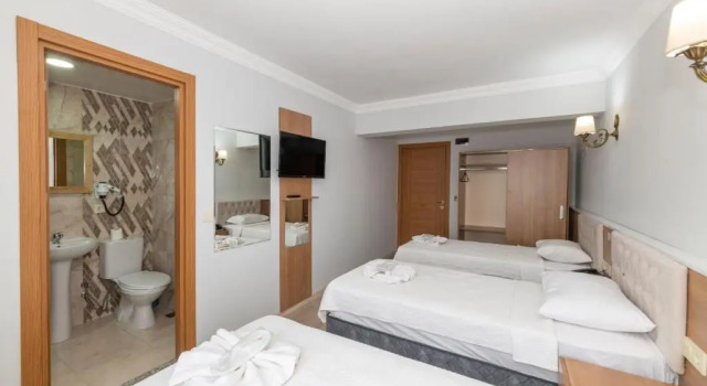 Трёхместный номер Standard Metro Hotel