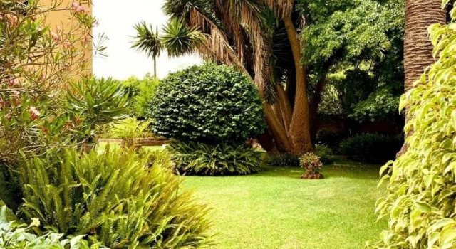 Finca El Trazo