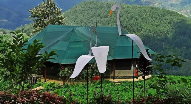Люкс c 1 комнатой с видом на горы Madulkelle Tea and Eco Lodge