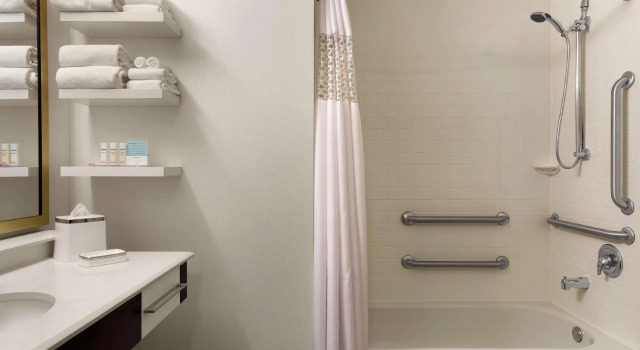 Двухместный номер Accessible Hampton Inn Chicago Downtown/N Loop/Michigan Ave
