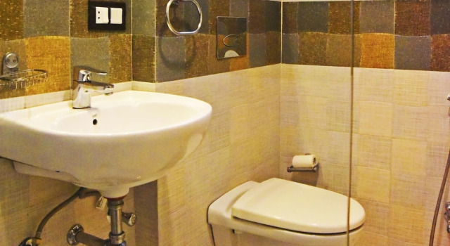 Двухместный номер Deluxe Hotel Shivani Udaipur