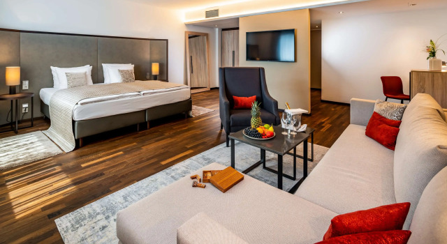 Park Plaza Trier