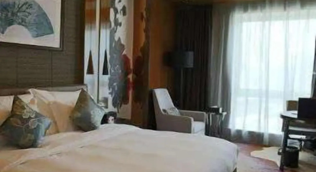 Люкс Ramada Plaza Liuzhou Liudong