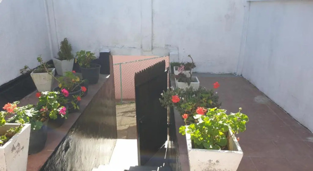 Номер Standard Bungalow 234