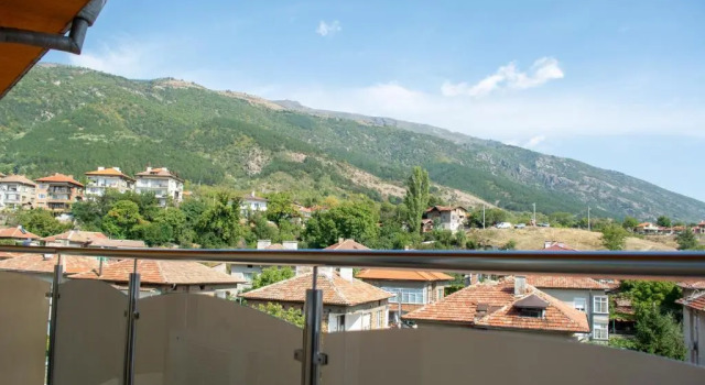 Апартаменты Central Apartment Mountain View