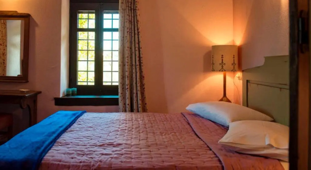 Αrnica Montana, Book Hotel Tsagarada 
