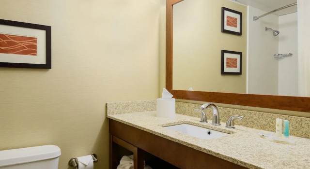 Двухместный номер для гостей с ограниченными возможностями Comfort Inn St Louis - Westport Event Center