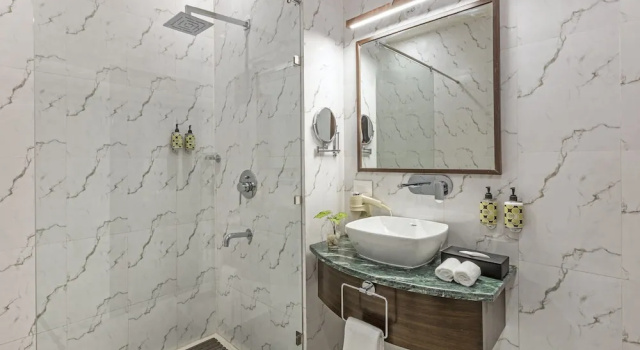 Номер Superior Lemon Tree Premier, Rishikesh