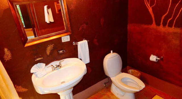 Номер Standard Hotel Torres Del Fuerte