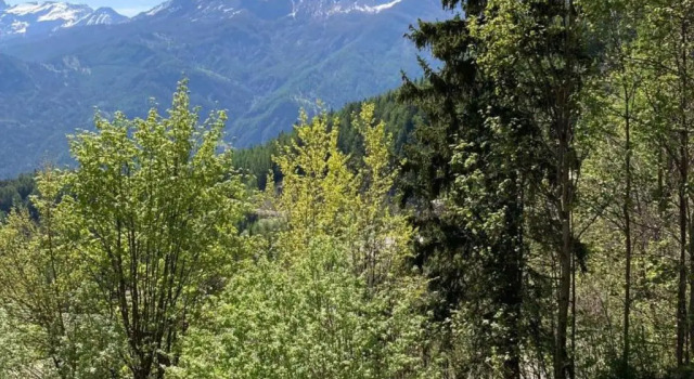 Appartement Pra-Loup, 1 pièce, 6 personnes - FR-1-165A-5