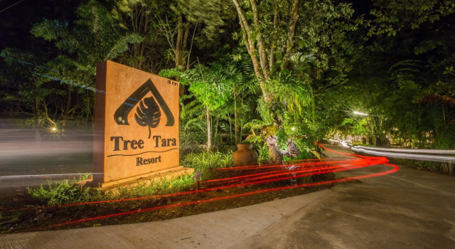 Вилла Tree Tara Resort