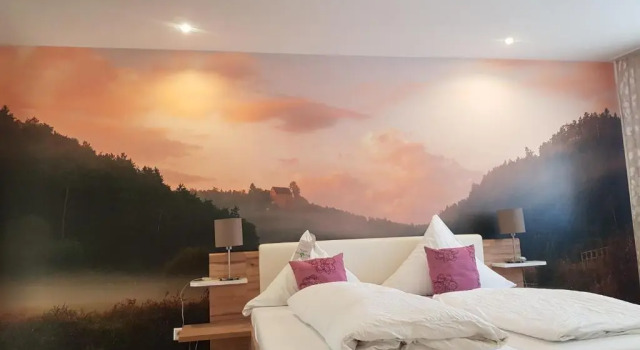 Номер Deluxe Gasthof Zur Seku