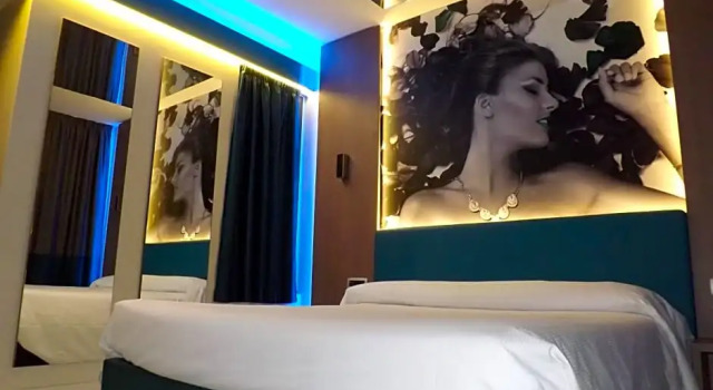 Habitación Superior Hotel Camelia