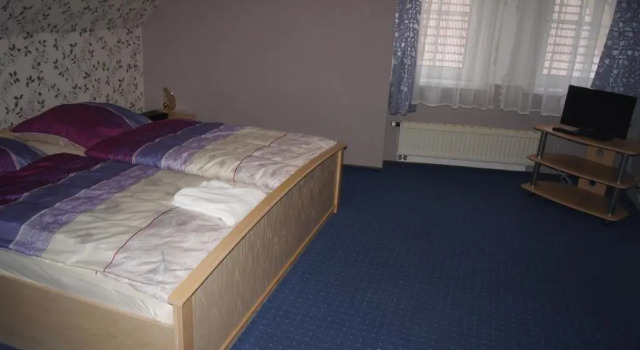 Двухместный номер Standard Hotel Draschwitz