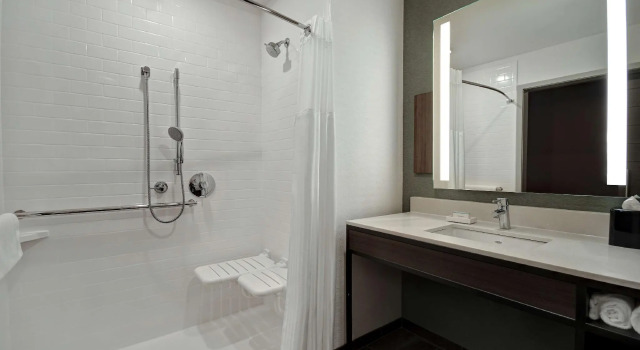 Двухместный номер Deluxe Hilton Garden Inn Kalamazoo Downtown