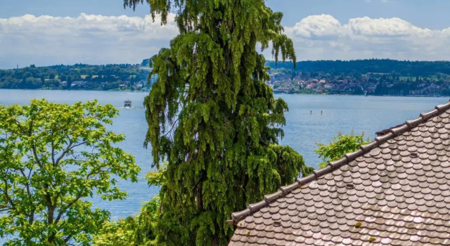 Двухместный номер Standard с балконом и с видом на озеро Hotel Capri
