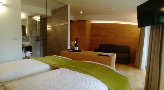Двухместный семейный номер Standard Sport Hotel