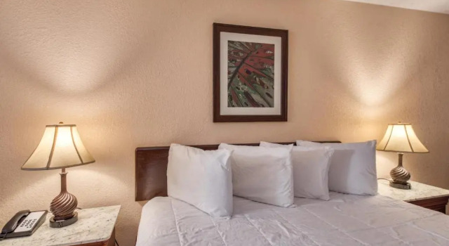 Номер Deluxe Palms Garden Inn
