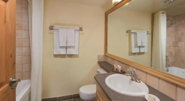Люкс Mountainside Lodge - A Shell Vacations Resort